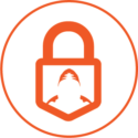 Cyber Security Icon