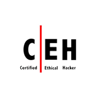 certified ethical hacker